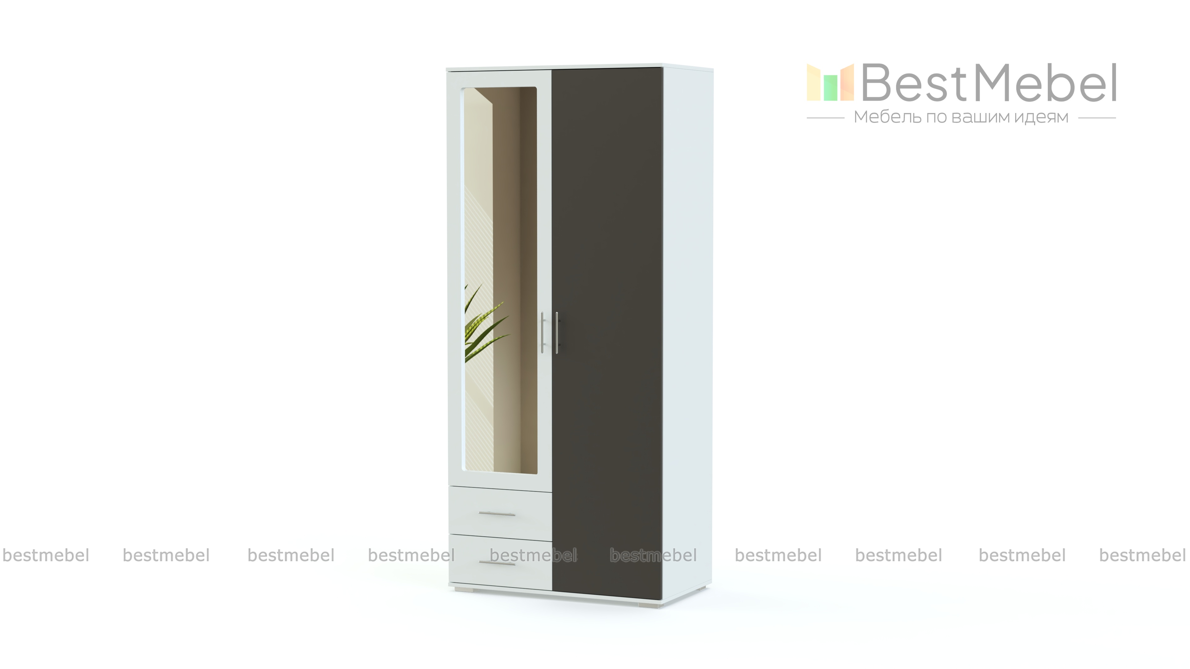 Шкаф распашной Глянец 8 BMS